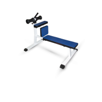 Скамья для скручивания римский стул MB 2.10 MB Barbell