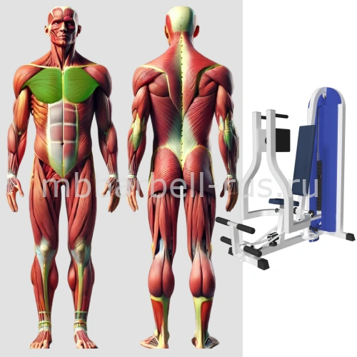 Грудь машина Баттерфляй MB 3.26 N MB Barbell