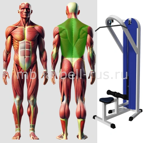 Вертикальная тяга MB 3.04 N MB Barbell