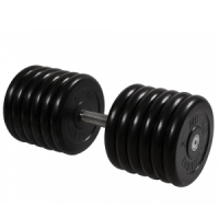 Гантель неразборная с вращающейся ручкой профи 61кг MB-FdbM-B61 MB Barbell