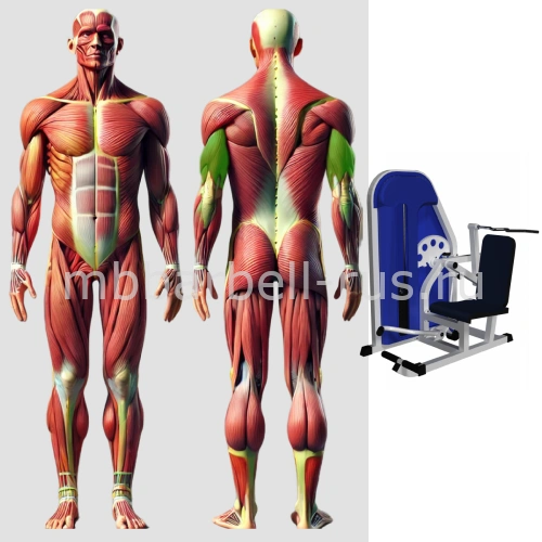 Трицепс машина MB 3.12 N MB Barbell