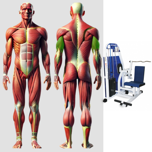 Трицепс машина MB 3.12 MB Barbell