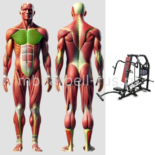 Жим под углом вверх свободные веса MB 4.15 MB Barbell