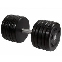 Гантель неразборная с вращающейся ручкой классик 56кг MB-FdbEM-B56 MB Barbell
