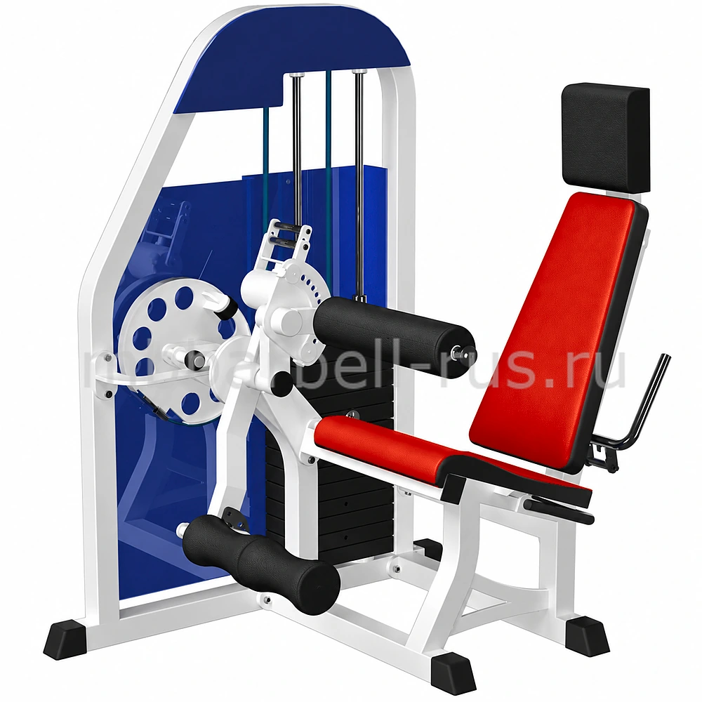 Сгибание разгибание ног MB 3.01 MB Barbell