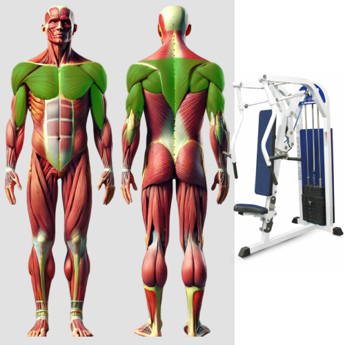Горизонтальный жим от груди MB 3.18 MB Barbell