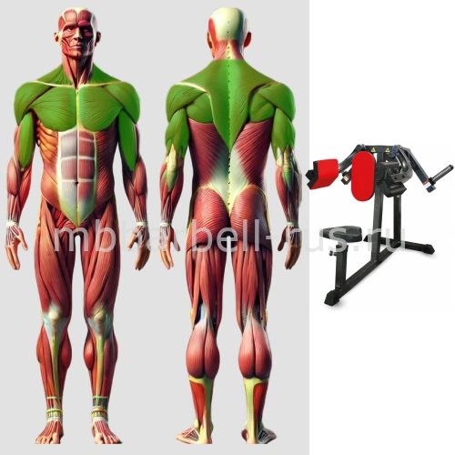 Дельта машина свободные веса MB 4.27 MB Barbell