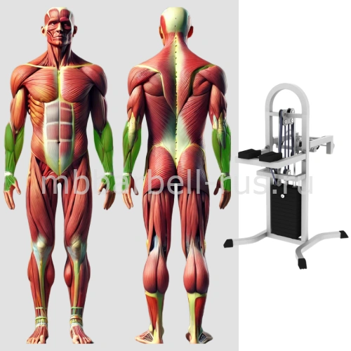 Кистевой тренажер MB 3.36 MB Barbell