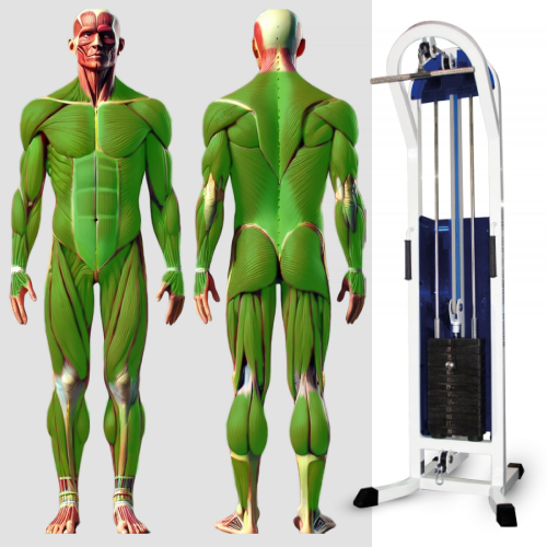 Блочная рама одинарная MB 3.06  MB Barbell