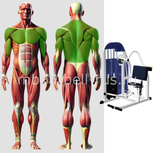 Пулловер MB 3.10 MB Barbell