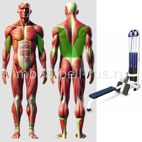 Горизонтальная тяга MB 3.08 MB Barbell