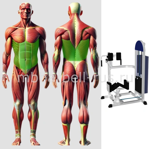 Торс машина скручивание MB 3.35 MB Barbell