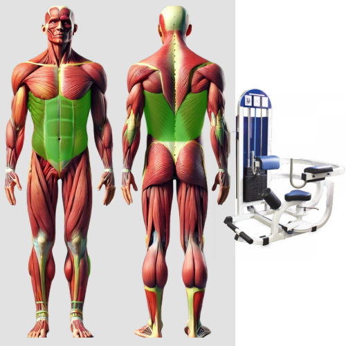 Торс машина скручивание MB 3.34 MB Barbell