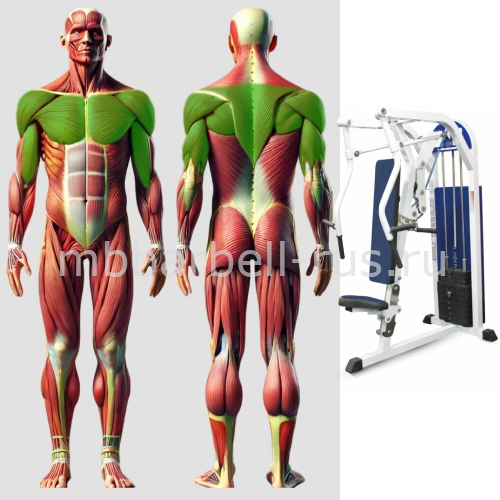 Горизонтальный жим от груди MB 3.18 MB Barbell