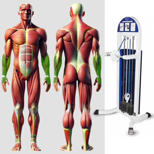 Кистевой тренажер MB 3.29 MB Barbell