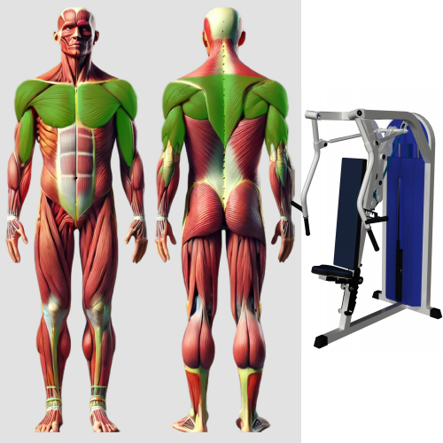 Горизонтальный жим от груди MB 3.18 N MB Barbell