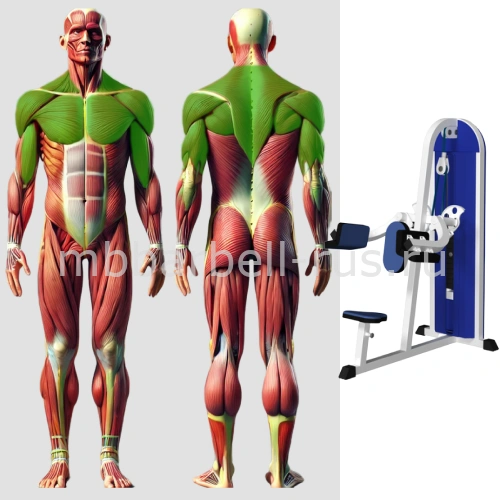 Дельта машина MB 3.32 N MB Barbell