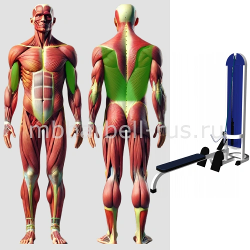 Горизонтальная тяга MB 3.08 N MB Barbell