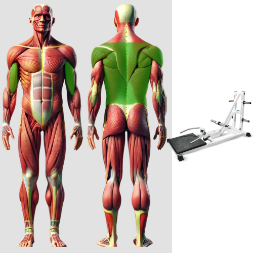 Т-образная тяга свободные веса MB 4.26 MB Barbell