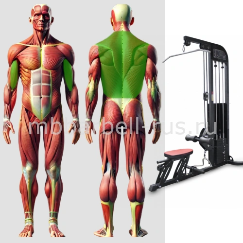 Вертикально горизонтальная тяга MB 3.02 MB Barbell