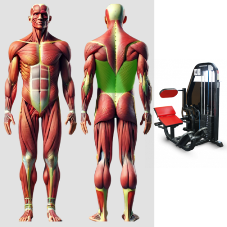 Разгибатель спины MB 3.17 MB Barbell