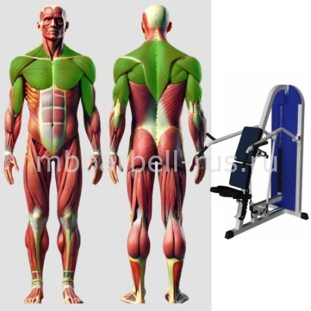 Жим от плеч MB 3.19 N MB Barbell