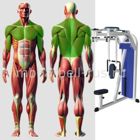 Грудь машина и задние дельты MB 3.09 N MB Barbell