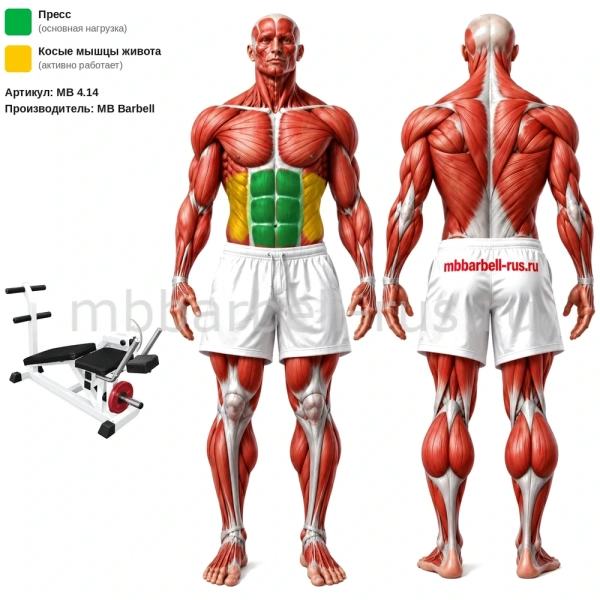 Пресс машина, скручивание свободные веса MB 4.14 MB Barbell