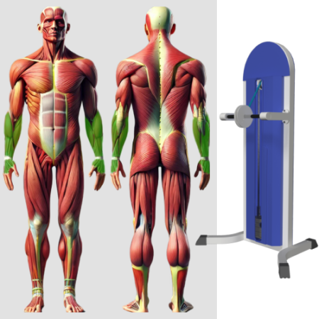 Кистевой тренажер MB 3.29 N MB Barbell