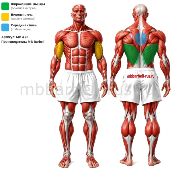 Вертикальная тяга вниз с разведением  рычажная, свободные веса MB 4.28 MB Barbell