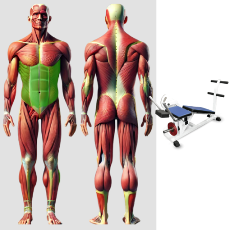 Пресс-машина, скручивание свободные веса MB 4.14 серый MB Barbell