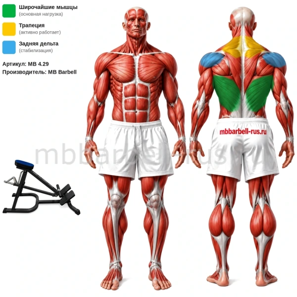 Т-образная тяга с упором в грудь свободные веса MB 4.29 MB Barbell