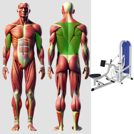 Тяга на себя с упором в грудь MB 3.33 N MB Barbell