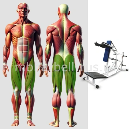Тренажер для приседаний с обратным наклоном MB 4.20 MB Barbell
