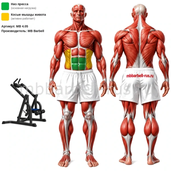Нижний пресс свободные веса MB 4.05 MB Barbell