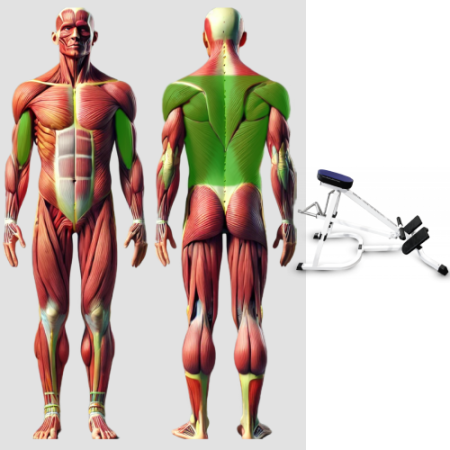 Т-образная тяга с упором в грудь свободные веса MB 4.29 MB Barbell