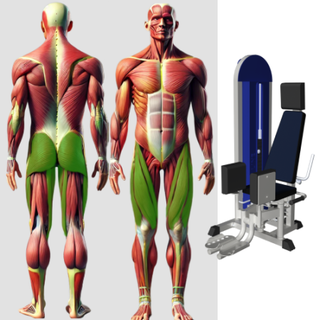 Сведение разведение ног MB 3.25 N MB Barbell