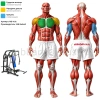 Горизонтальный жим от груди свободные веса MB 4.02 MB Barbell