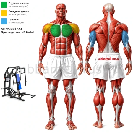 Горизонтальный жим от груди свободные веса MB 4.02 MB Barbell