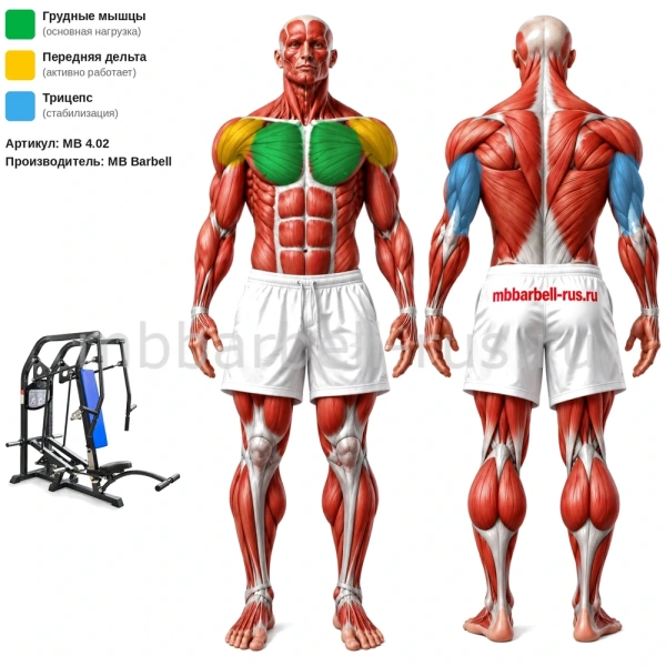 Горизонтальный жим от груди свободные веса MB 4.02 MB Barbell