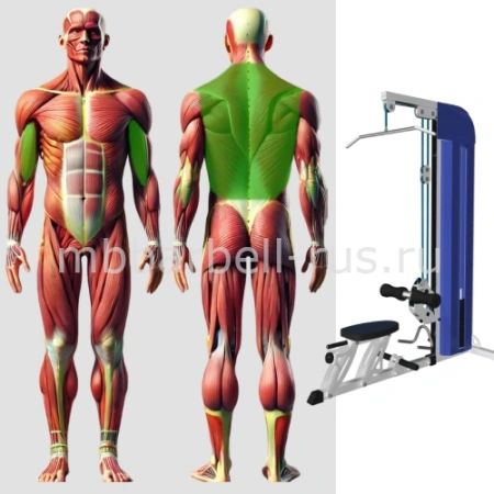 Вертикально горизонтальная тяга MB 3.02 N MB Barbell