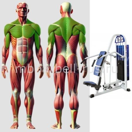 Жим от плеч MB 3.19 MB Barbell