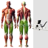 Жим ногами на свободных весах MB 4.07 MB Barbell