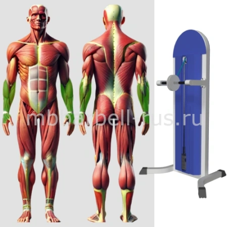 Кистевой тренажер MB 3.29 N MB Barbell