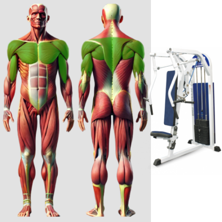 Горизонтальный жим от груди MB 3.18 MB Barbell