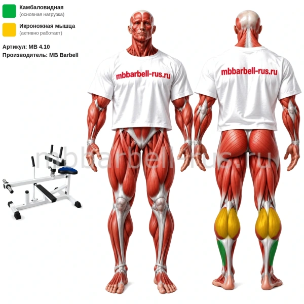 Голень сидя MB 4.10 MB Barbell