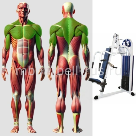 Жим под углом вверх MB 3.15 MB Barbell