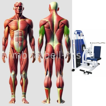 Трицепс машина MB 3.12 MB Barbell