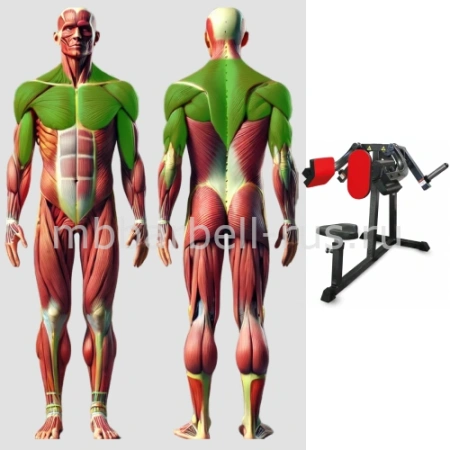 Дельта машина свободные веса MB 4.27 MB Barbell