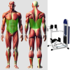Торс машина скручивание MB 3.35 серый от MB Barbell-силовой тренажёр Тренажёр MB Barbell: Торс машина скручивание MB 3.35 серый MB Barbell для профессионального использования